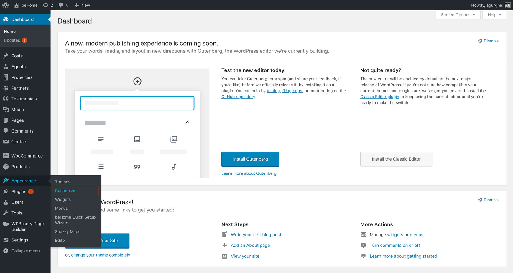 WordPress Appearance menu with Customize highlighted