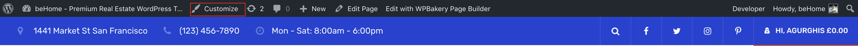 Admin bar on the front end with the Customize link highlighted