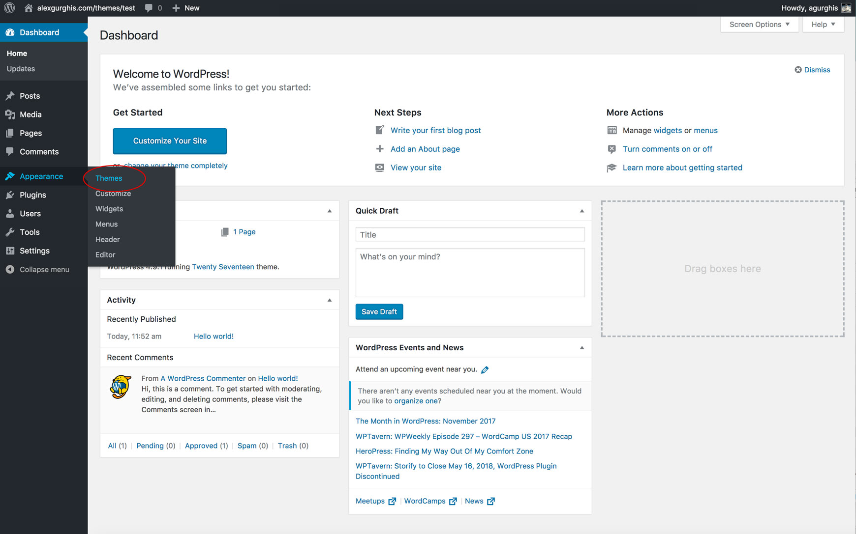 WordPress dashboard with the Appearance menu open and Themes highlighted