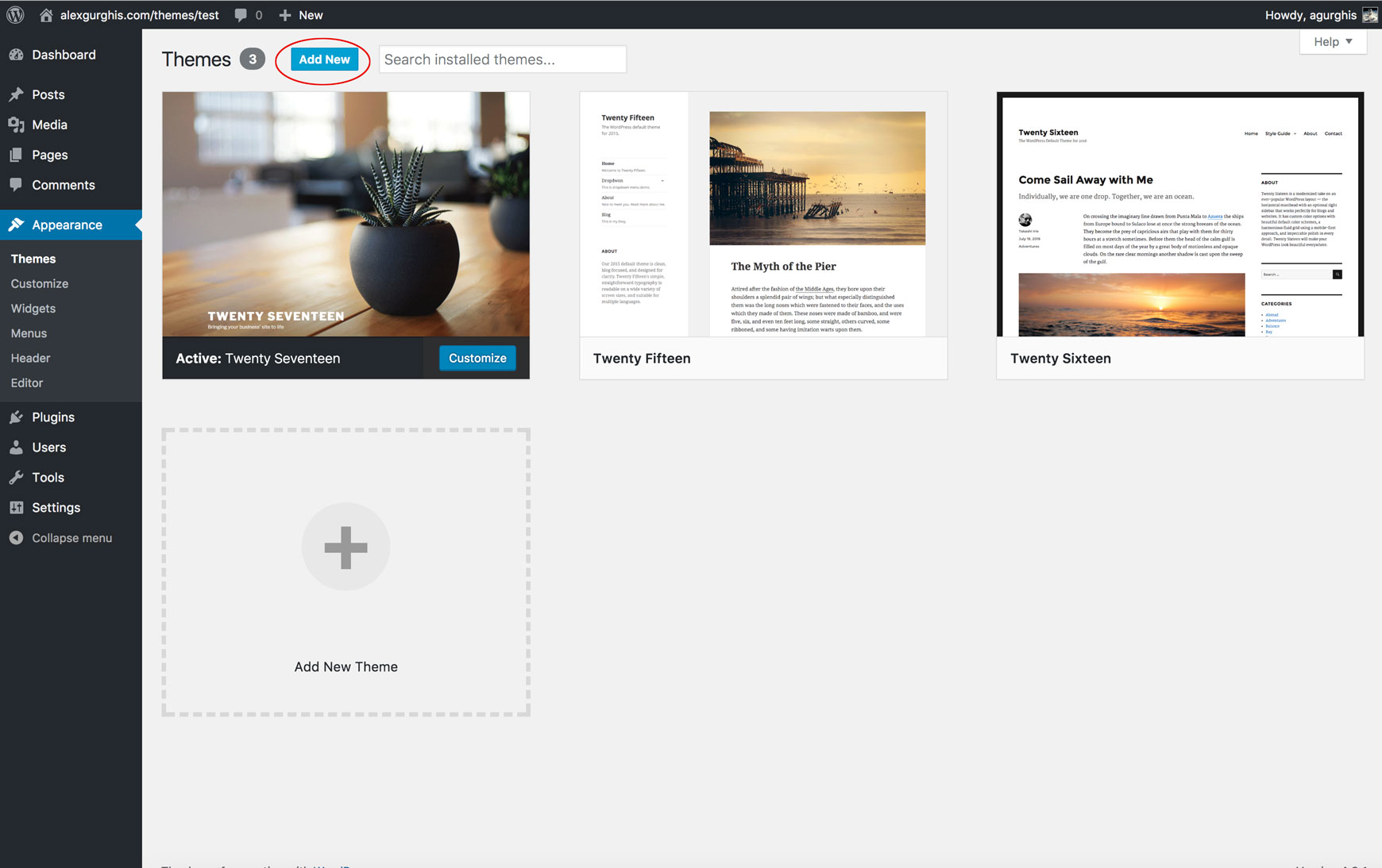 Themes screen with the Add New button highlighted