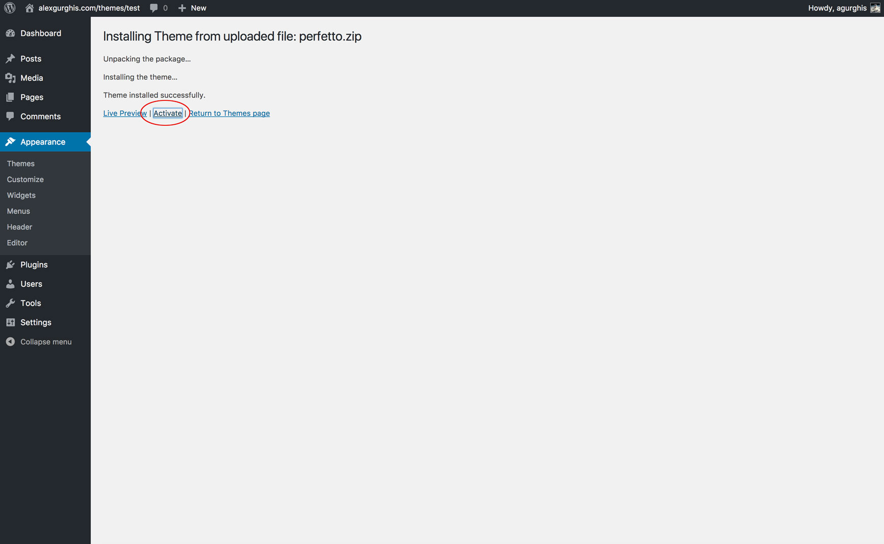 Theme installed successfully message with the Activate link highlighted
